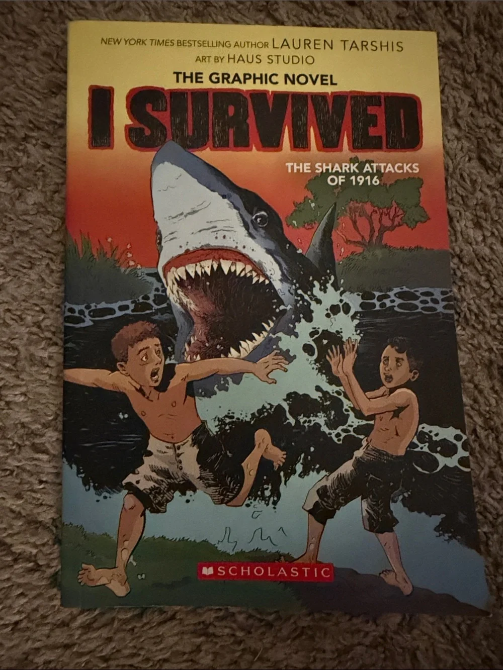 I Survived Graphic Novel Set by Scholastic - Assorted Blue, Red, Brown Covers